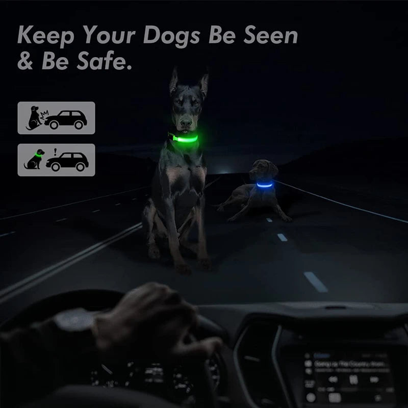 USB Rechargeable LED Pet Safety Collar