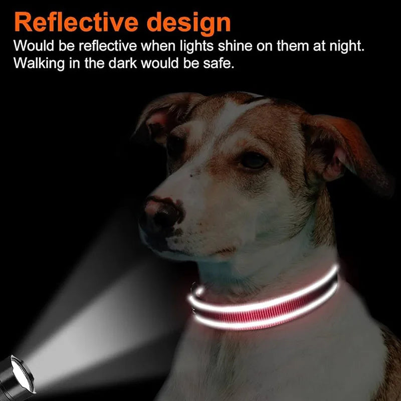 Reflective Neoprene Padded Dog Collar