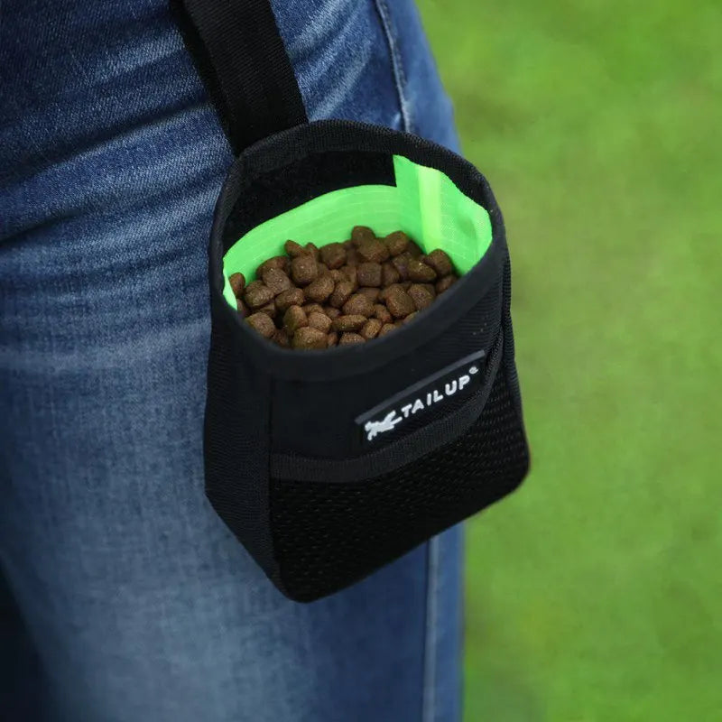 Outdoor Large-Capacity Dog Training Treat Bag