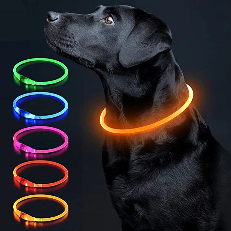 LED Rechargeable Glowing Pet Collar