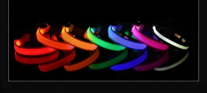 LED Nylon Dog Collar Night Safety Glow
