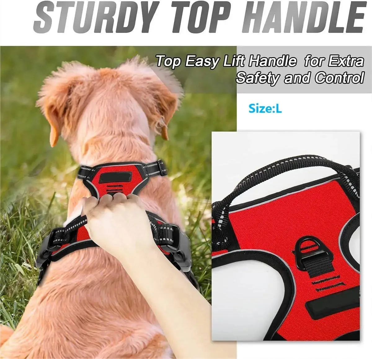 Dog Collar, Harness & Leash Set for Medium & Small Dogs