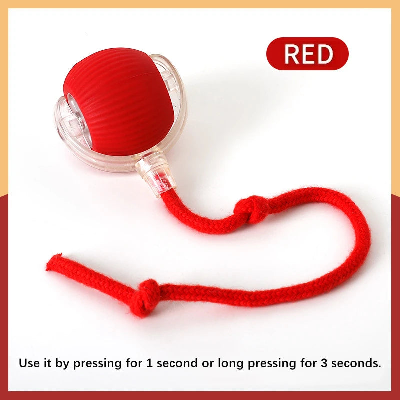 USB Rechargeable Interactive Smart Dog Ball