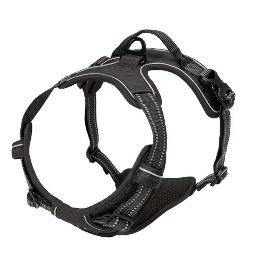 Dog Collar, Harness & Leash Set for Medium & Small Dogs
