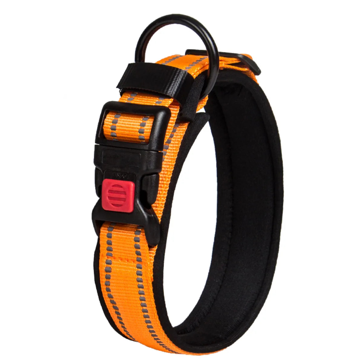 Reflective Adjustable Foam Dog Collar