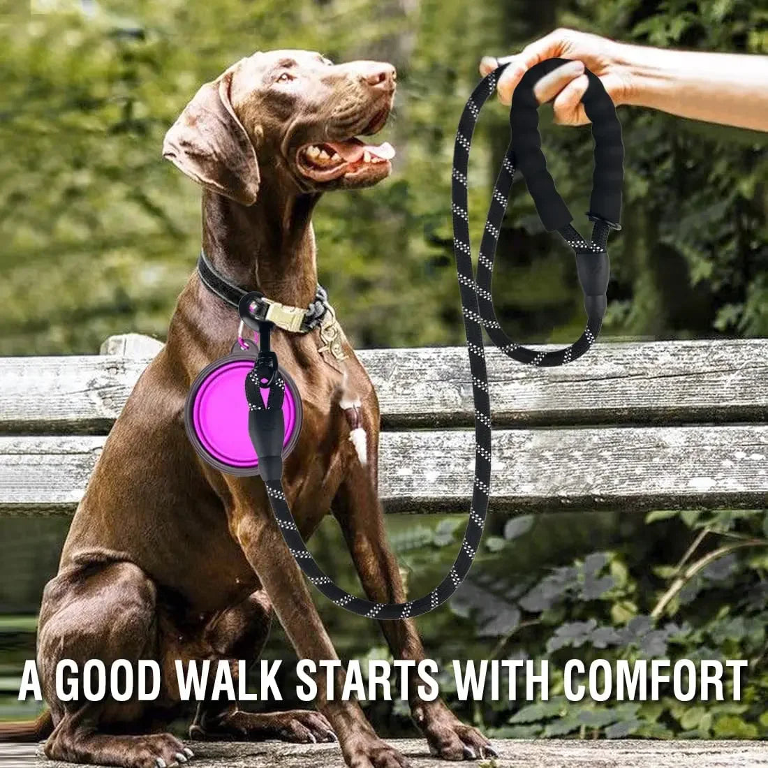 Strong Reflective Dog Leash for All Sizes